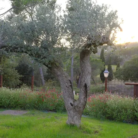 Villa Sa Llum